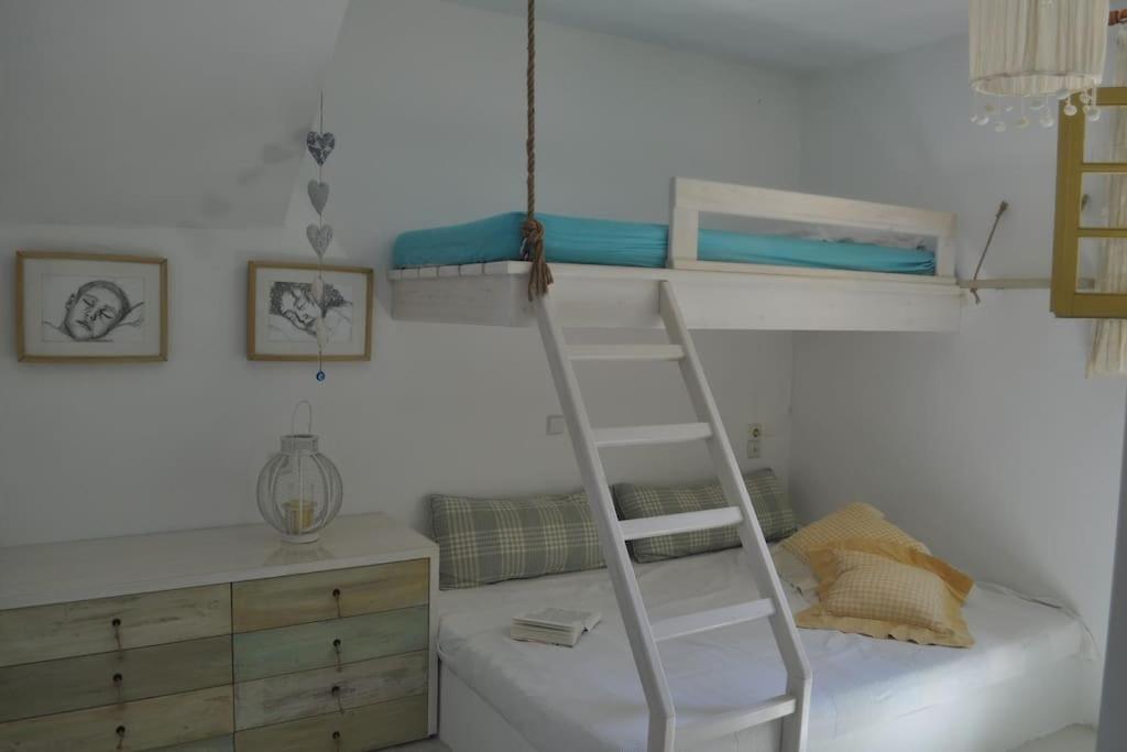 Design House On The * Rámos